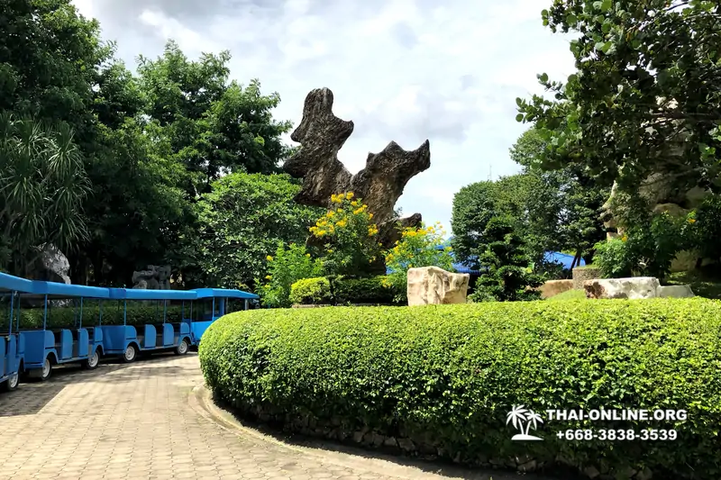 Паттайя Крокодиловая Ферма экскурсия с компанией Magic Thai Online - фото 3