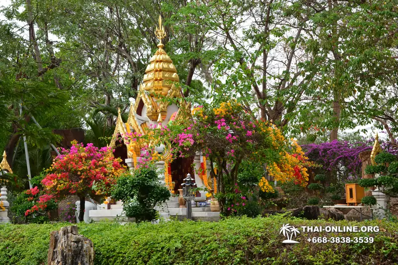 Паттайя Крокодиловая Ферма экскурсия с компанией Magic Thai Online - фото 21