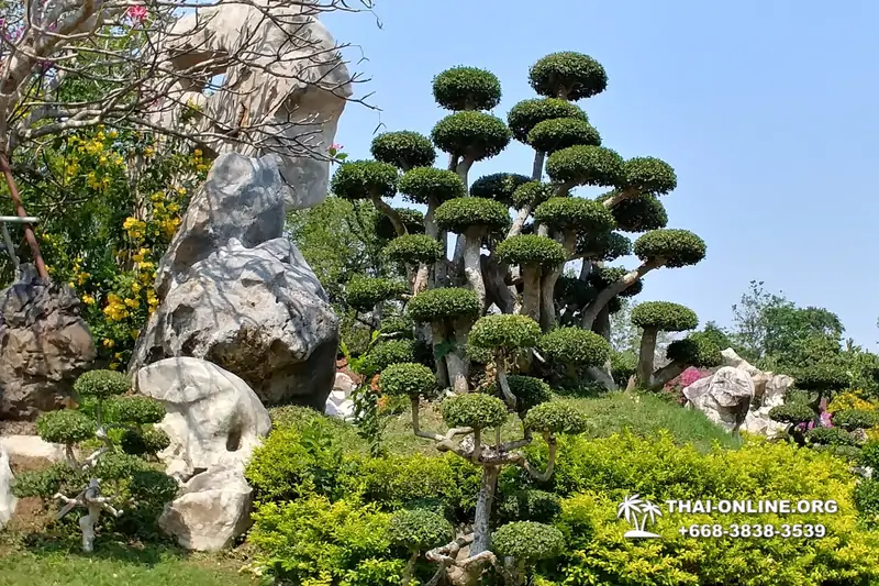 Паттайя Крокодиловая Ферма экскурсия с компанией Magic Thai Online - фото 10