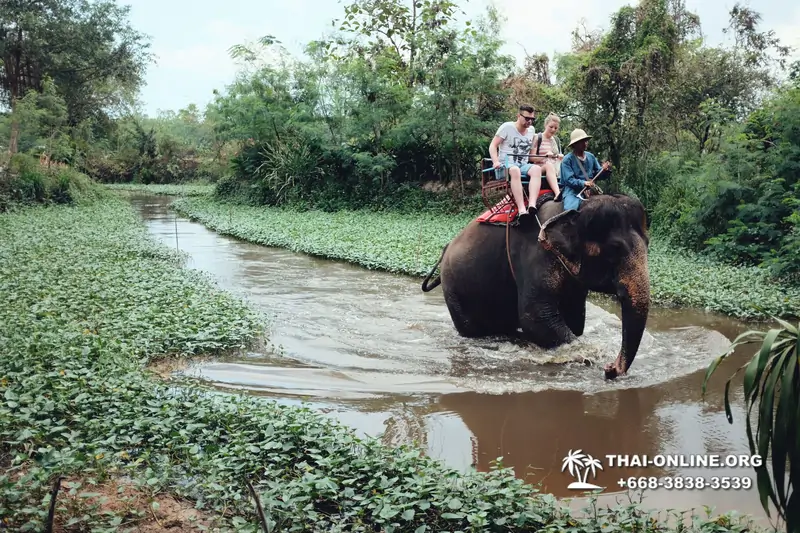 Деревня слонов поездка Тайланд фото Thai-Online 12