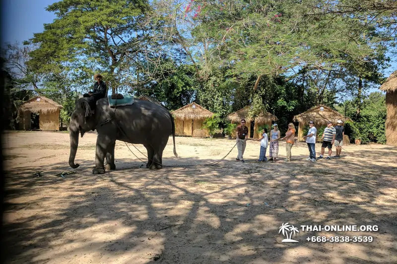 Деревня слонов поездка Тайланд фото Thai-Online 2
