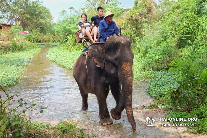 Катание на слонах, Деревня Слонов экскурсия компании Magic Thai Online в Паттайе Таиланде фото 5