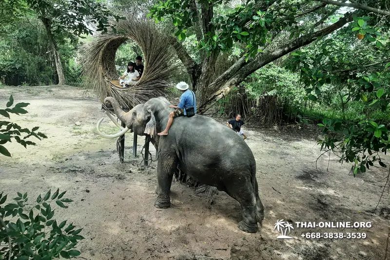 Катание на слонах, Деревня Слонов экскурсия компании Magic Thai Online в Паттайе Таиланде фото 14