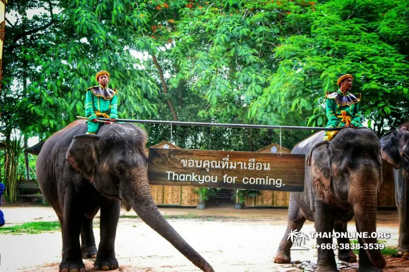 Катание на слонах, Деревня Слонов экскурсия компании Magic Thai Online в Паттайе Таиланде фото 22