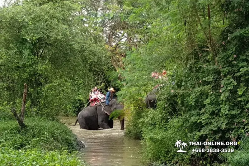 Катание на слонах, Деревня Слонов экскурсия компании Magic Thai Online в Паттайе Таиланде фото 30