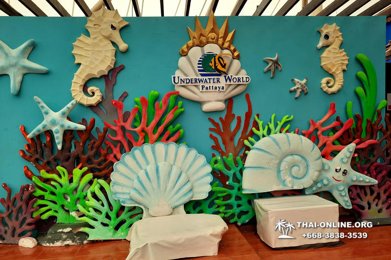 Pattaya Underwater World поездка Тайланд 18