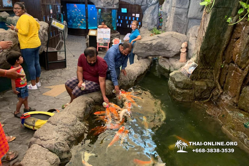 Pattaya Underwater World поездка Тайланд 24