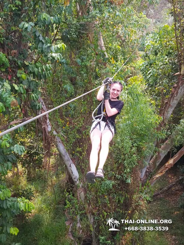 Tarzan Flight TreeTop Trail and Tarzan Adventure Pattaya Таиланд 17