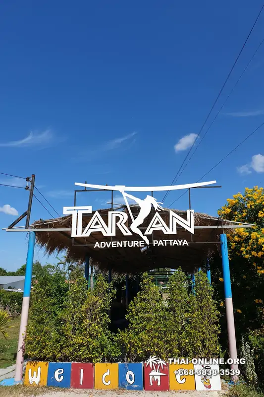 Tarzan Flight TreeTop Trail and Tarzan Adventure Pattaya Таиланд 5