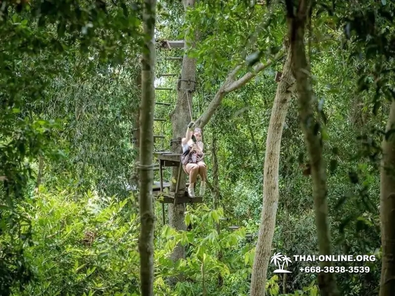 Tarzan Flight TreeTop Trail and Tarzan Adventure Pattaya Таиланд 20