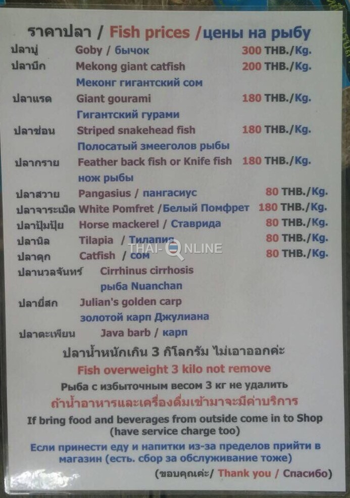 Рыбалка на сомов в Тайланде - фото Thai-Online (6)