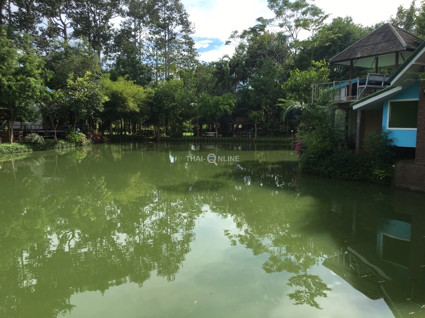 Рыбалка на сомов в Тайланде - фото Thai-Online (11)