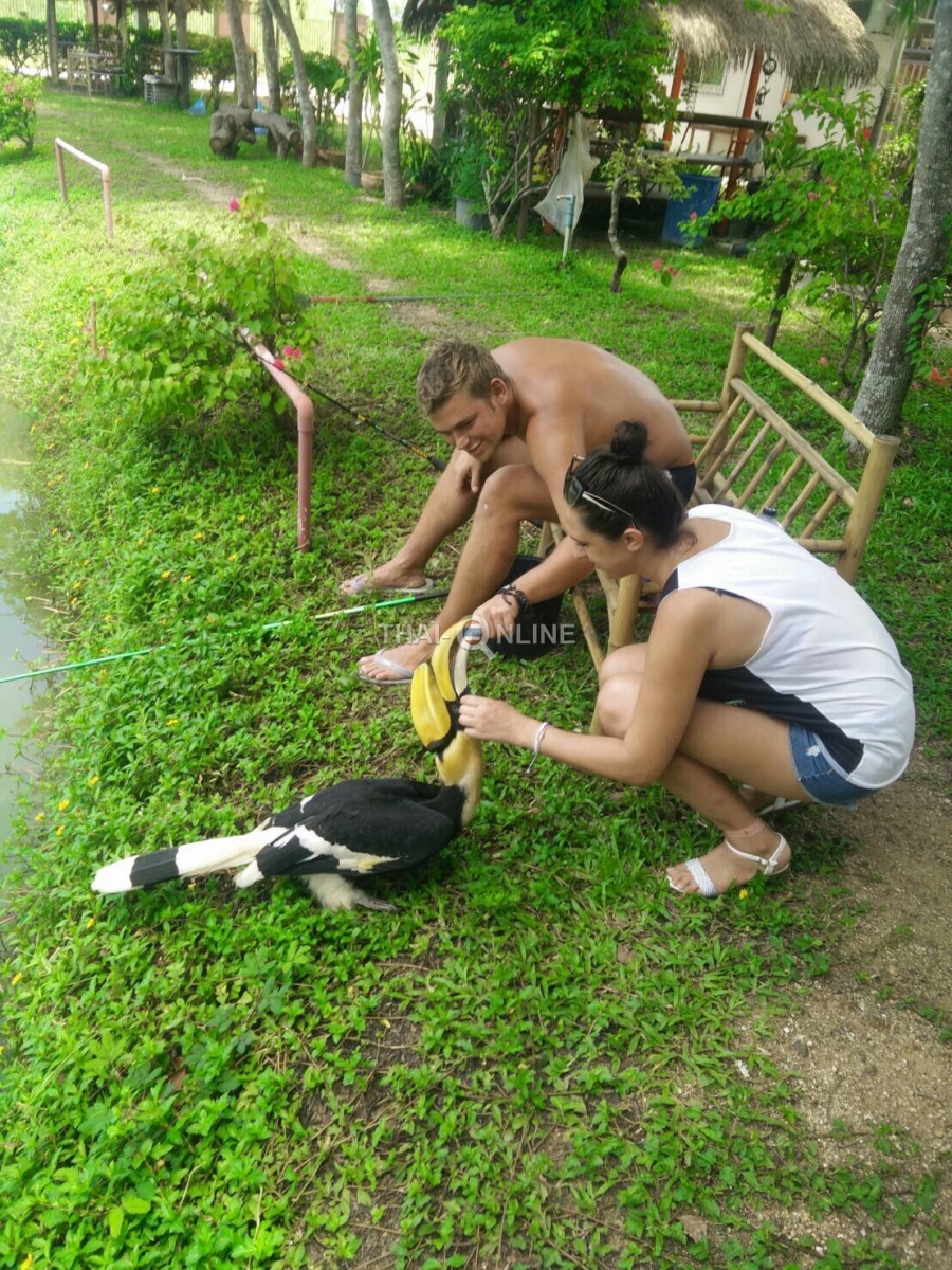 Рыбалка на сомов в Тайланде - фото Thai-Online (2)